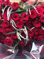 WOW Red Roses